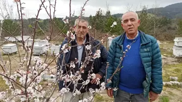 Arıcılar Birliği'nden İlaçlama Uyarısı