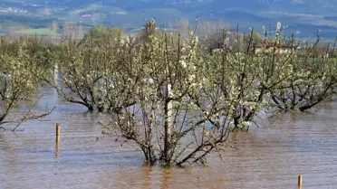 Manisa'da Sel ve Fırtına Sonrası Hasar Tespit Çalışmaları