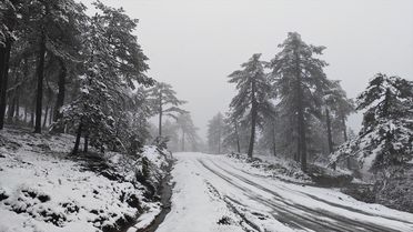 Demirci'de kar yağışı etkili oldu