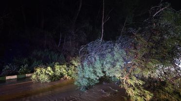 Salihli'de Sağanak Yağışta Taşkın ve Su Baskınları