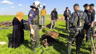 Mardin'de Kuyuya Düşen İnek Kurtarıldı