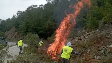 Marmaris'te Orman Yangını Önlemleri