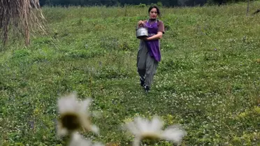 Hamsiköy Sütlacı: Geleneksel Bir Lezzet