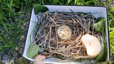 Mersin'de Çocuklardan Kuş Yuvası Etkinliği