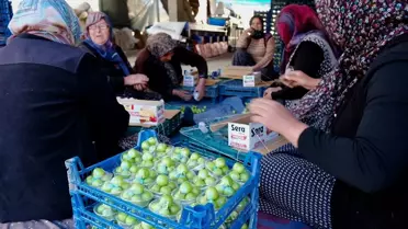 Mersin Mut'ta Erik Hasadı Devam Ediyor