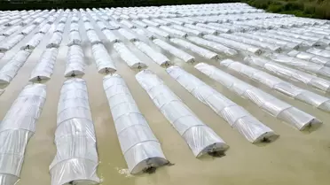 Tarsus'ta Sağanak Tarım Arazilerini Vurdu