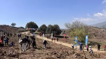Milas'ta Fidan Dikim Etkinliği