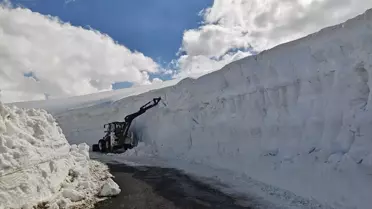 Muş'ta Karla Mücadele Devam Ediyor