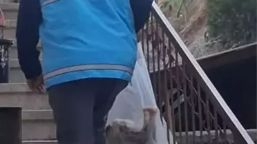 Nallıhan'da Kardeşlik Köprüsü Projesi