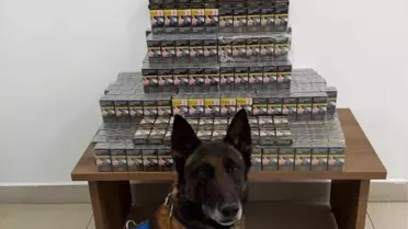 Niğde'de Kaçakçılık Operasyonu