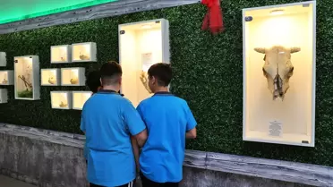 Samsun'da Doğa Müzesi Açıldı