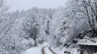 Kar yağışı bölgede etkili