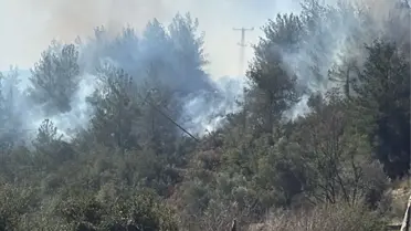 Osmaniye'de Orman Yangını Söndürüldü