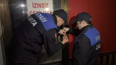 Tatlı İmalathanesi Mühürlendi