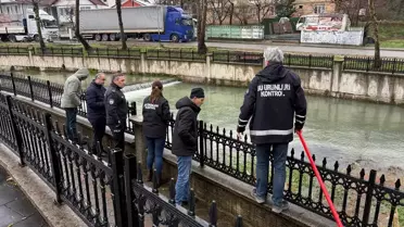 Hendek'te Balık Ölümleri İnceleniyor