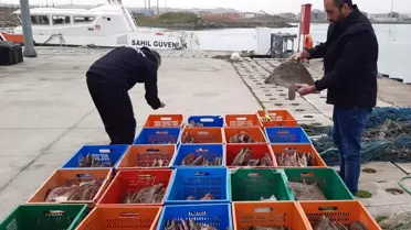 Karasu'da Yasak Avcılığa Ceza