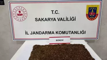 Sapanca'da Uyuşturucu Operasyonu: 1 Tutuklama