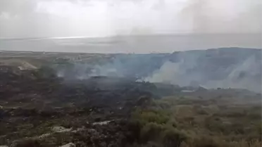 Samandağ'da Yangın Söndürüldü