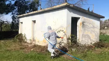 Bafra'da Kahverengi Kokarca Mücadelesi