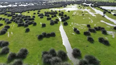 Kızılırmak Deltası'nda Kuş Kuluçka Dönemi Başladı