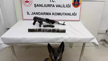 Suruç'ta Silah Kaçakçılığı Operasyonu