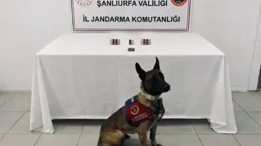 Şanlıurfa'da Uyuşturucu Operasyonu: 8 Gözaltı