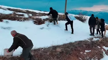 Kuşlar İçin Yemleme Çalışması