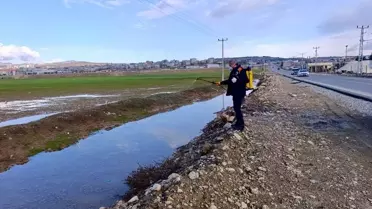 Siirt'te Haşere Mücadelesi