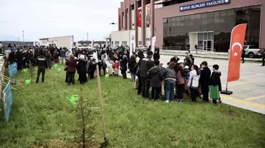 Sinop'ta 5.700 Fidan Dikildi