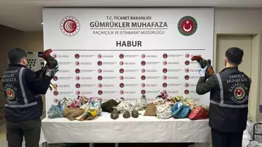 Silopi'de Yasa Dışı Keklik ve Horoz Ele Geçirildi