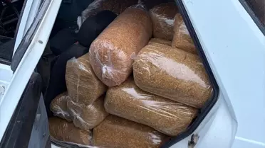 Koyulhisar'da Gümrük Kaçağı Tütün Ele Geçirildi