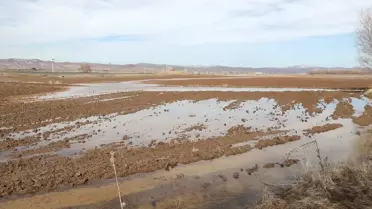Sivas'ta Tarım Arazileri Su Altında Kaldı