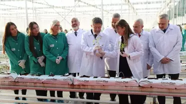 Yumaklı Kırklareli'nde Jeotermal Domates Serasını Ziyaret Etti