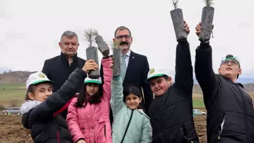 Taşköprü'de Fidan Dikimi Etkinliği