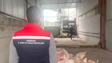 Tekirdağ'da 2800 kg Sağlıksız Hayvansal Ürün İmha Edildi