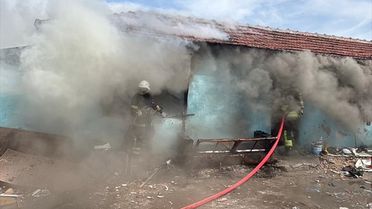 Çorlu'da Yangın ve Köpek Saldırısı