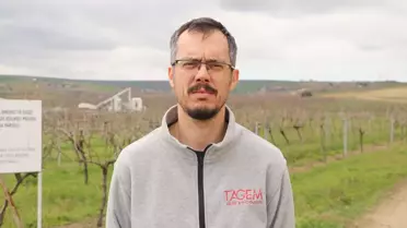 Yeni Üzüm Çeşidi: Gün Işığı