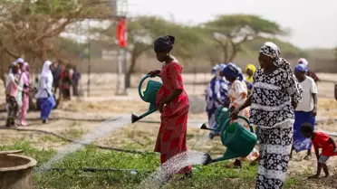 TİKA'dan Senegal'de Tarım Projesi