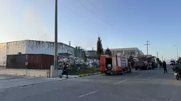 Tire'de Atık Geri Kazanım Deposunda Yangın