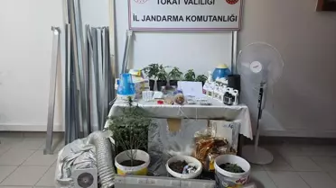 Tokat'ta Kenevir Serası Operasyonu