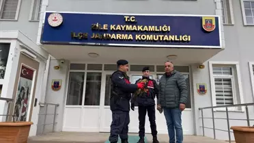 Yaralı Kızıl Şahin Tedavi Altına Alındı