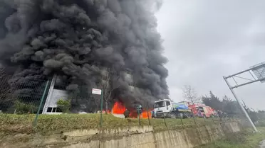 Arsin'de Fındık Fabrikasında Yangın