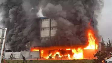 Arsin'de Fındık Fabrikasında Yangın