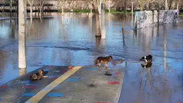 Edirne Nehirlerinde Debi Değişimleri