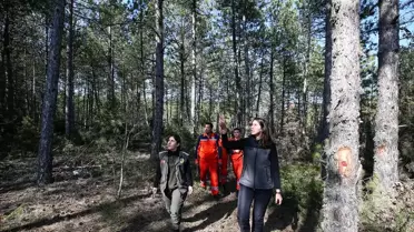 Kadınlar Ormanların Korunmasında Öncü