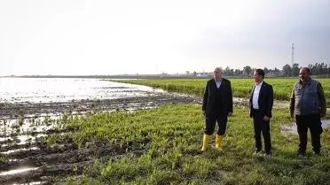 Adana'da Sağanak Tarımı Vurdu