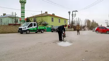 Van'da Haşereyle Mücadele