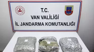 Van'da 4 Kilo Skunk Ele Geçirildi