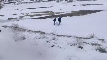 Yaban Kuşlarına 1,5 Ton Buğday Bırakıldı