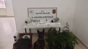 Yalova'da Uyuşturucu Operasyonu: 1 Gözaltı